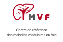 MVF-logo