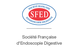 SFED-logo